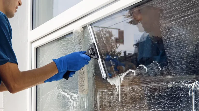 Window Cleaning Company