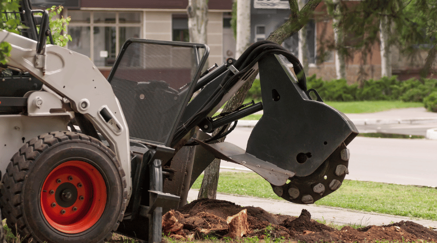 How to Start a Stump Grinding Business